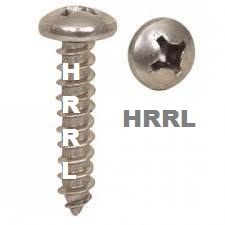 Pan SS Self Tapping Screws Exporter